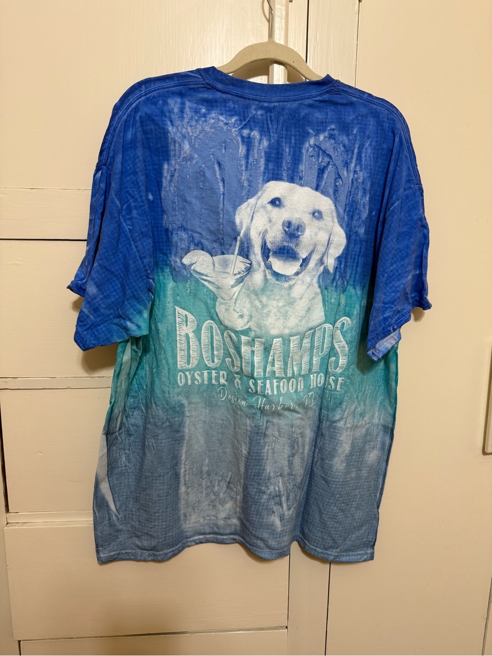 Boshamps Blue & Teal Dog Graphic Short Sleeve Tee